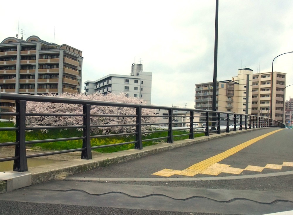 みらい大橋（福岡県）
